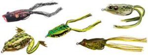 frogs