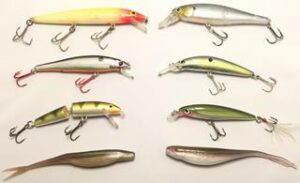 jerk baits